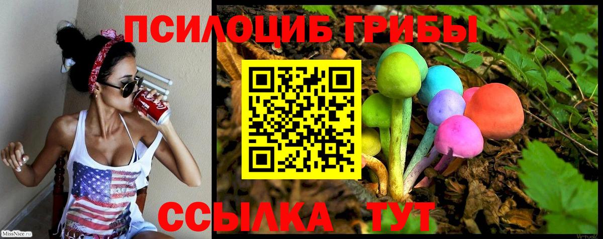 Псилоцибиновые грибы мухоморы Советск