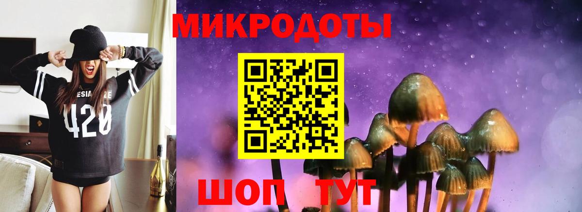Советск  Галлюциногенные грибы прущие грибы  Вход с VPN  Псилоцибиновые грибы Psilocybine cubensis 